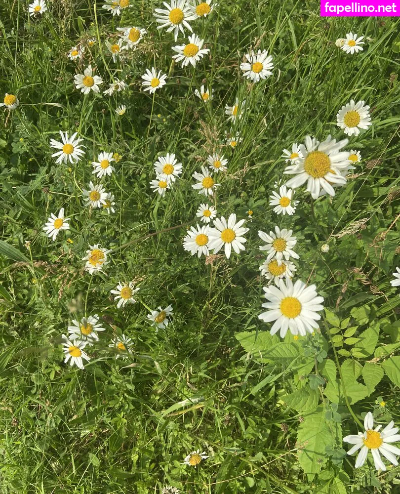 daisy.vip Nude Leaked OnlyFans Photo #OG4xBICOP7