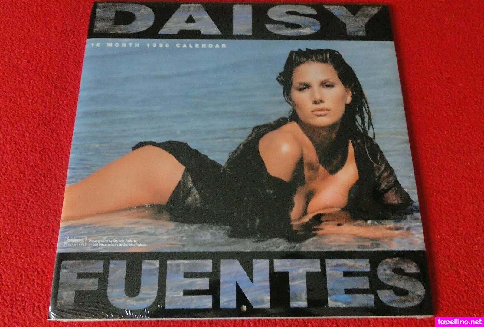 Daisyfuentes Nude Leaked OnlyFans Photo #qUea0i2rCU