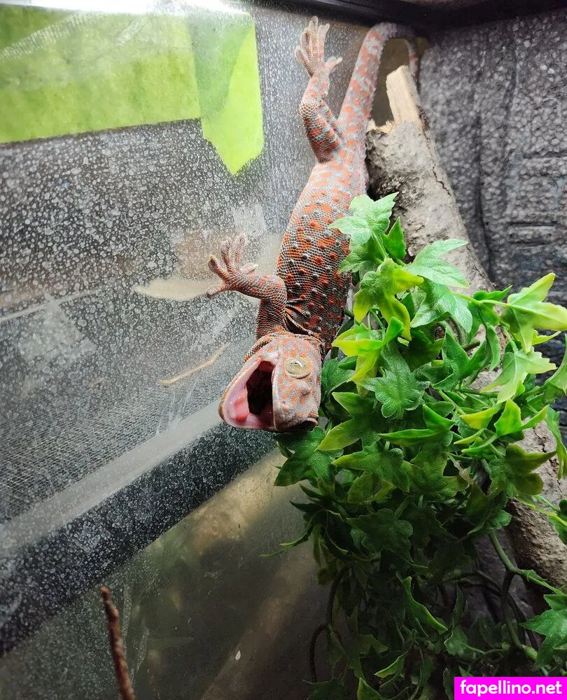 Dakotah Blue Nude Leaked OnlyFans Photo #X7JBuVVOfV