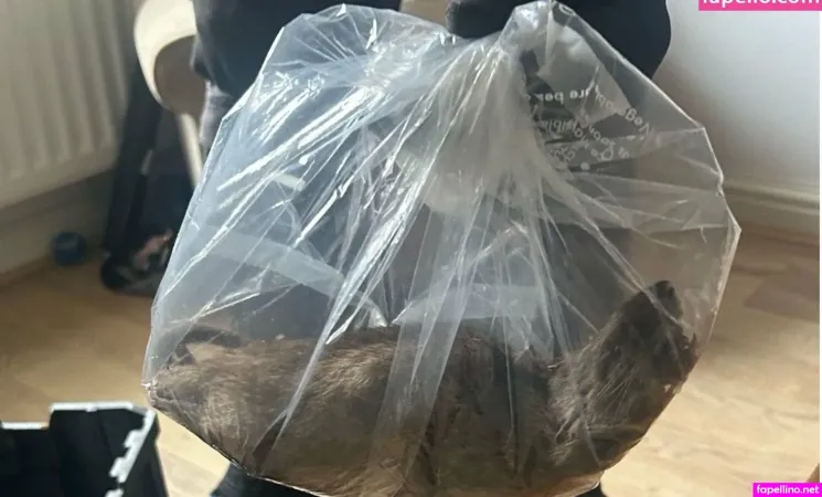 Dalila Stabile Main Profile Photo