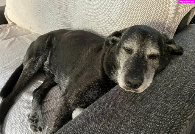 Danbenson OnlyFans Thumbnail #bs7RsjqJAB