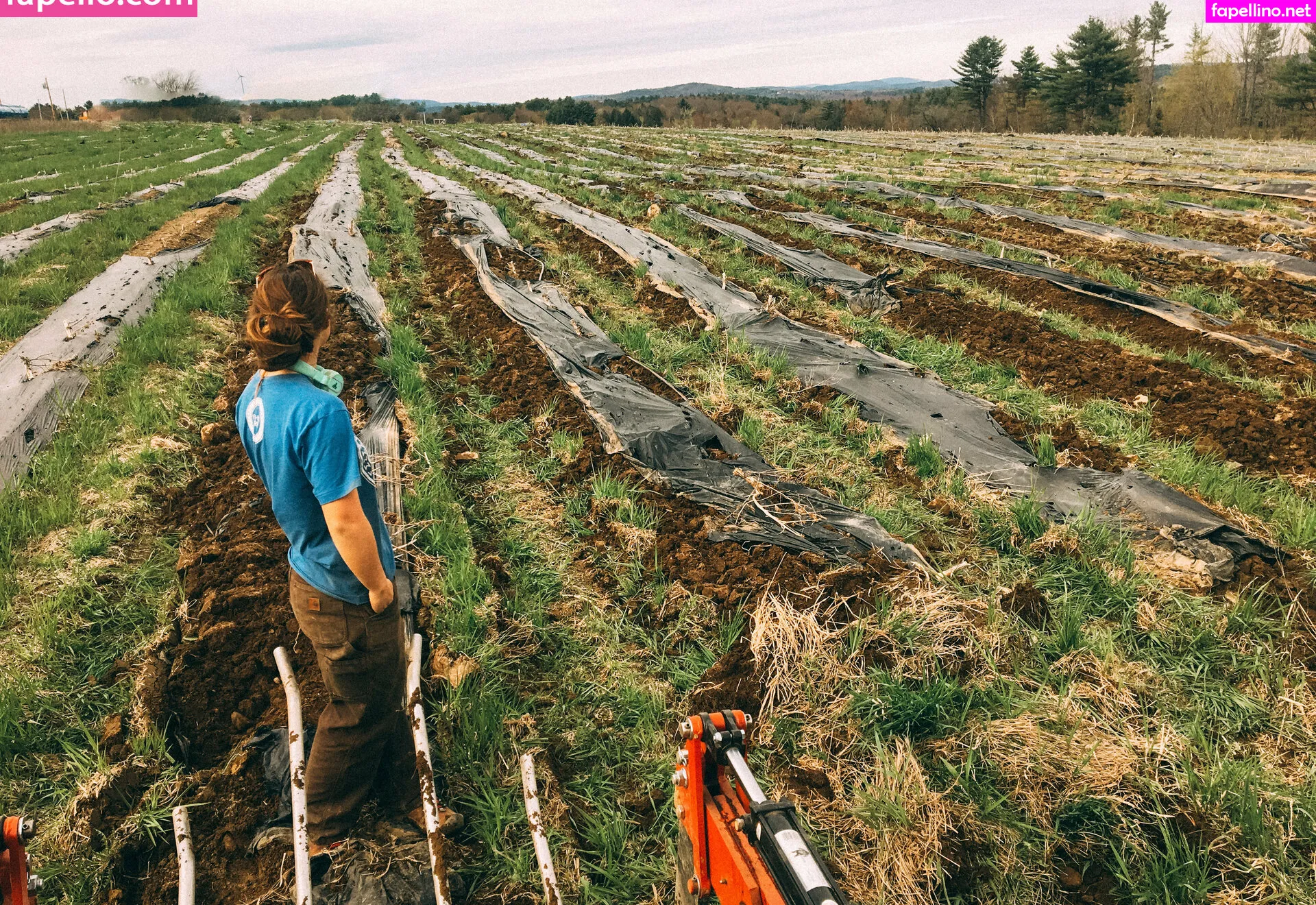 danceincannabis Nude Leaked OnlyFans Photo #GYAjWFk8mq