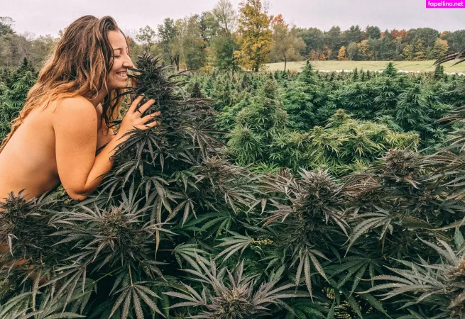 Danceincannabis OnlyFans Thumbnail #JsLjnKGzbv