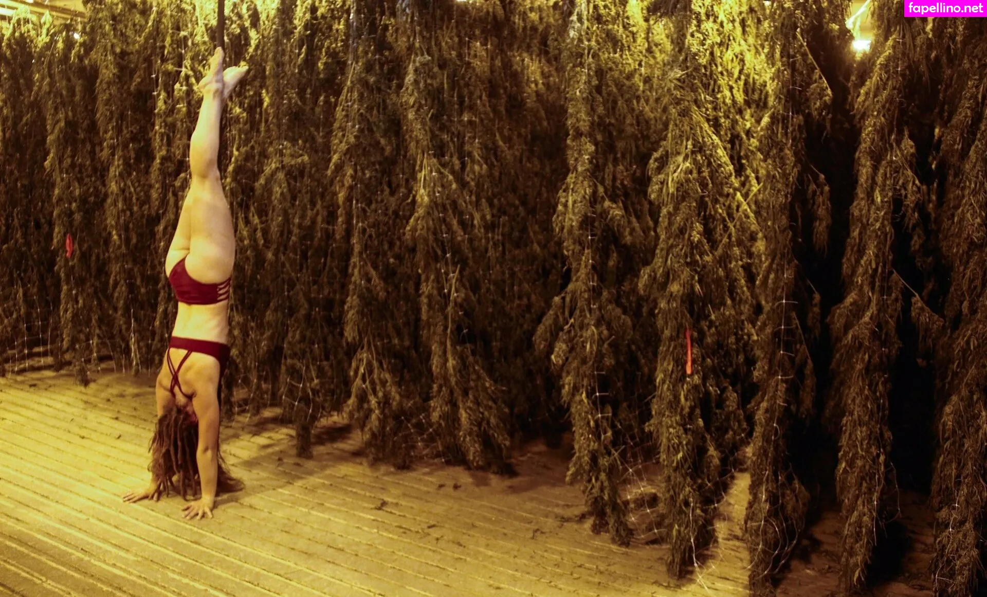 danceincannabis Nude Leaked OnlyFans Photo #KCwarlPi6V