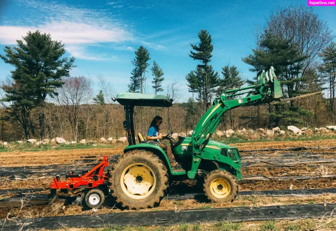 Danceincannabis OnlyFans Thumbnail #PR4LraEgBU