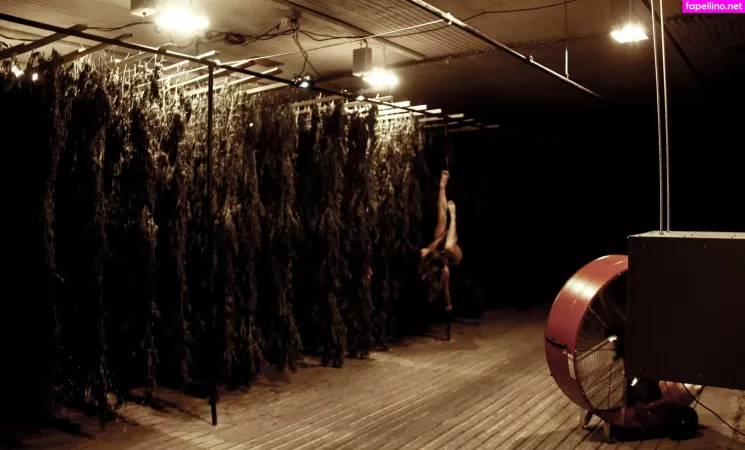 Danceincannabis OnlyFans Thumbnail #R369bZUHIZ