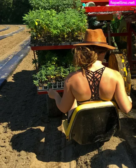 Danceincannabis OnlyFans Thumbnail #S1PcY7pBhc