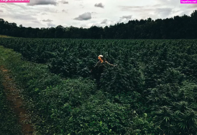 Danceincannabis OnlyFans Thumbnail #SRGrvNO7LQ