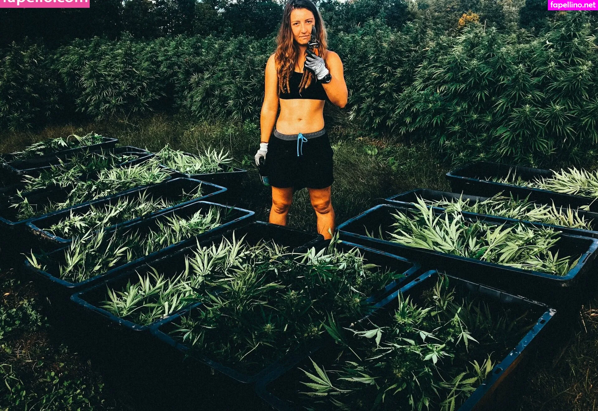 danceincannabis Nude Leaked OnlyFans Photo #TDvkWHc2OK