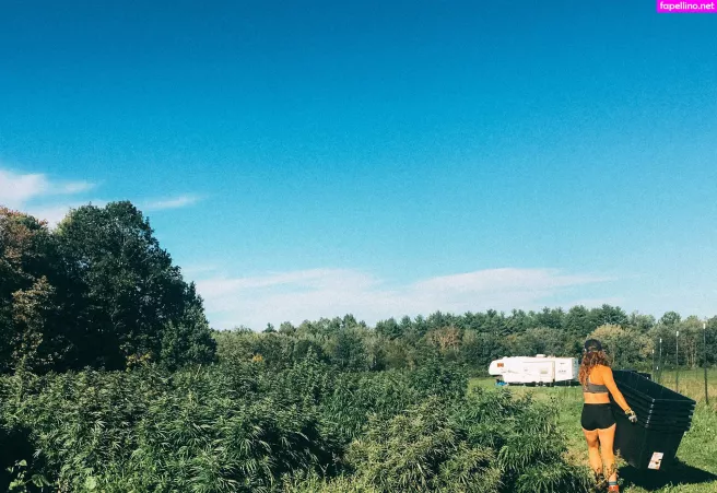 Danceincannabis OnlyFans Thumbnail #WQZt0Xyg3u