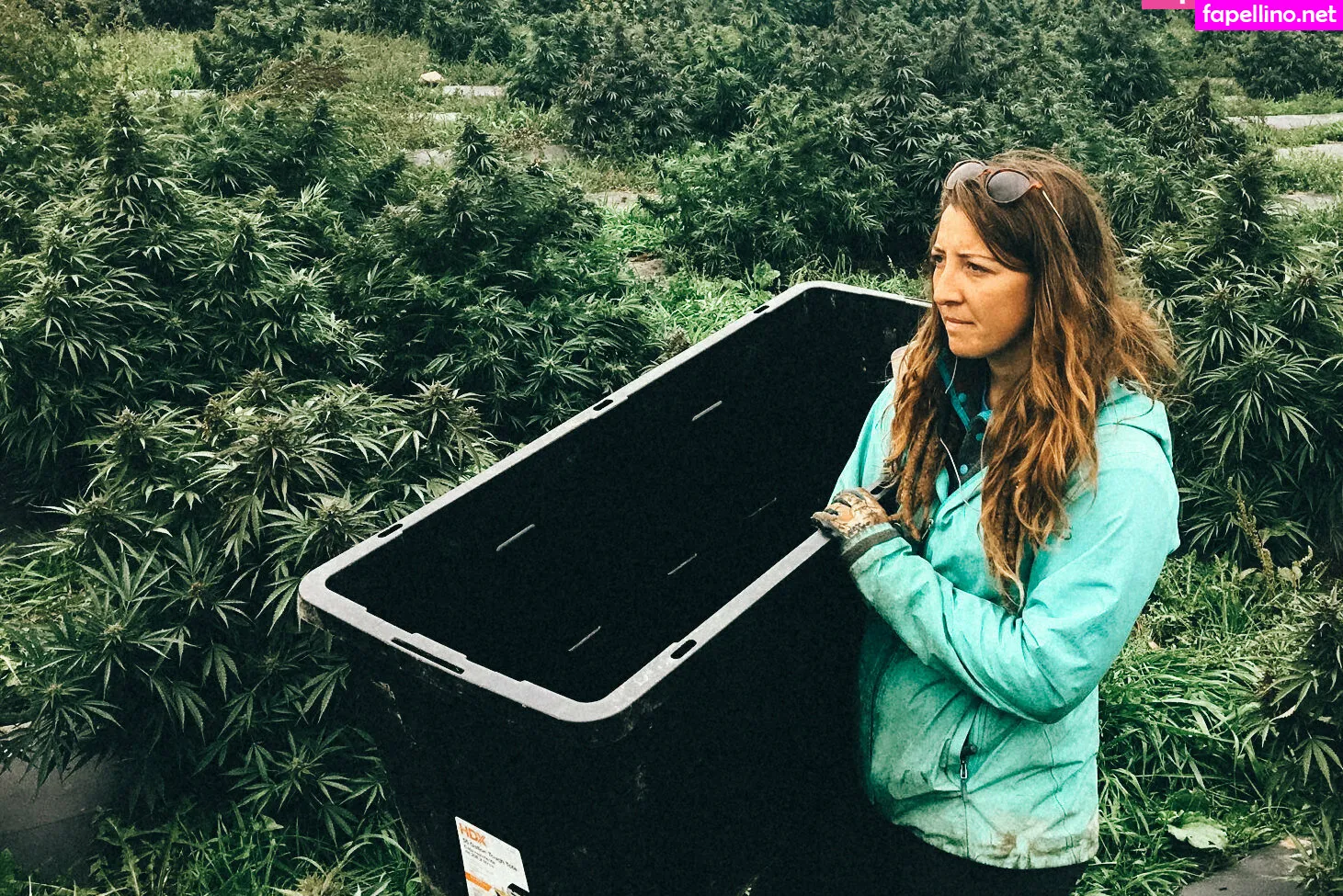 danceincannabis Nude Leaked OnlyFans Photo #fuMK9OOxsl