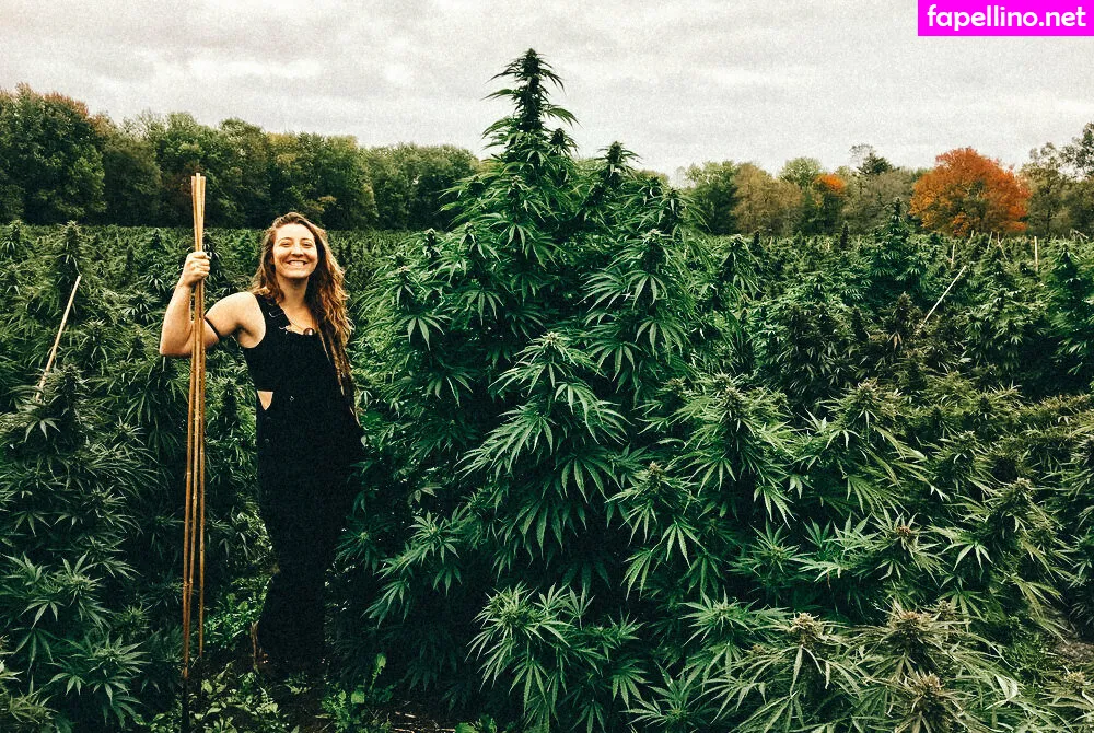 danceincannabis Nude Leaked OnlyFans Photo #gVMDMw5OEk