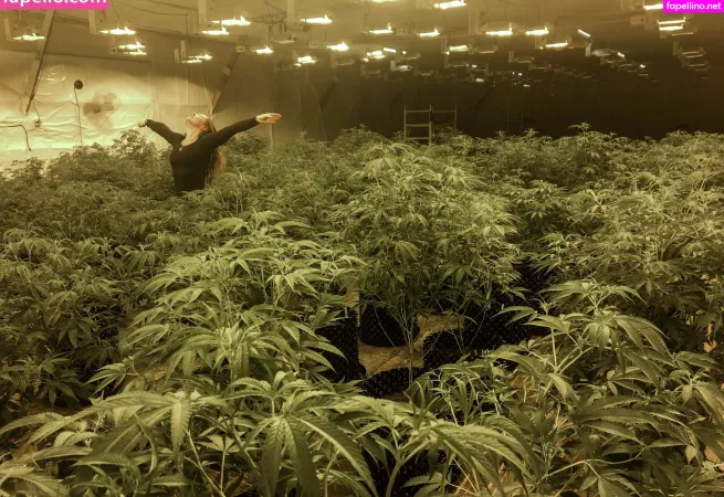 Danceincannabis OnlyFans Thumbnail #l6eswADN8J