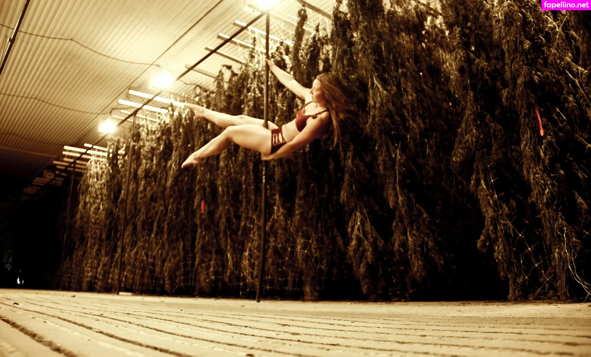 danceincannabis Nude Leaked OnlyFans Photo #umZWobUMe7