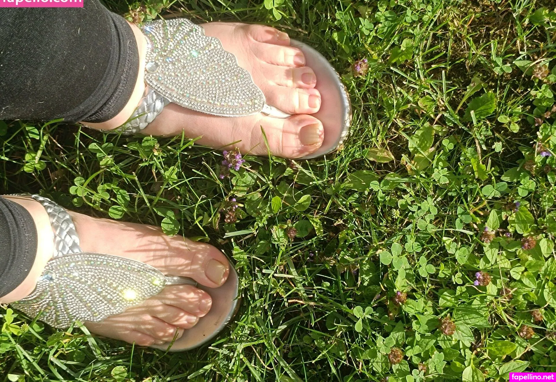 dandelion.girl, dandelionk1 Nude Leaked OnlyFans Photo #wBw53sud5A