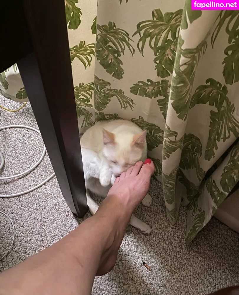 dandyandfriends, dandyindistress Nude Leaked OnlyFans Photo #Rhf6iVTFNw