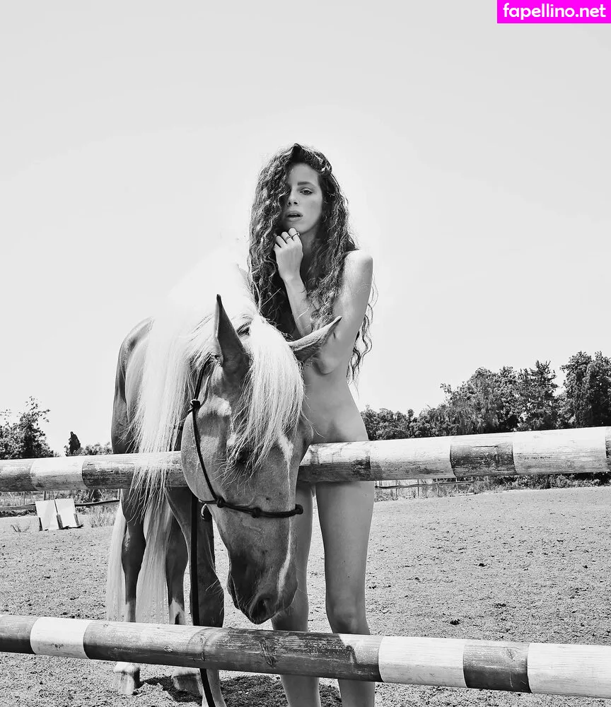 daniel_shtaiman, screwthecock Nude Leaked OnlyFans Photo #RHa75m4jKy