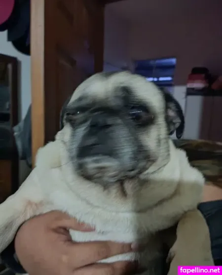 Daniela Montoya OnlyFans Thumbnail #WWsrvm85xr