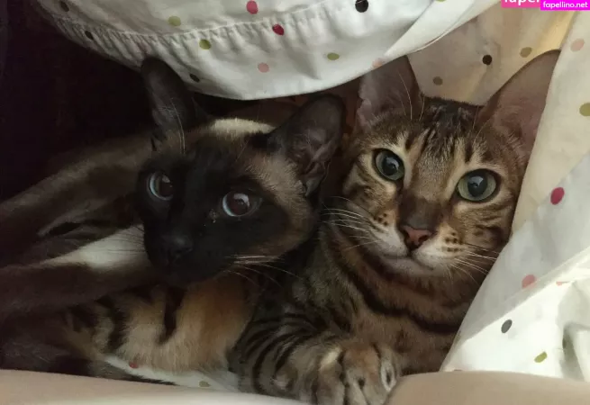 Daphnedaniels1 OnlyFans Thumbnail #uGakdpsCzR