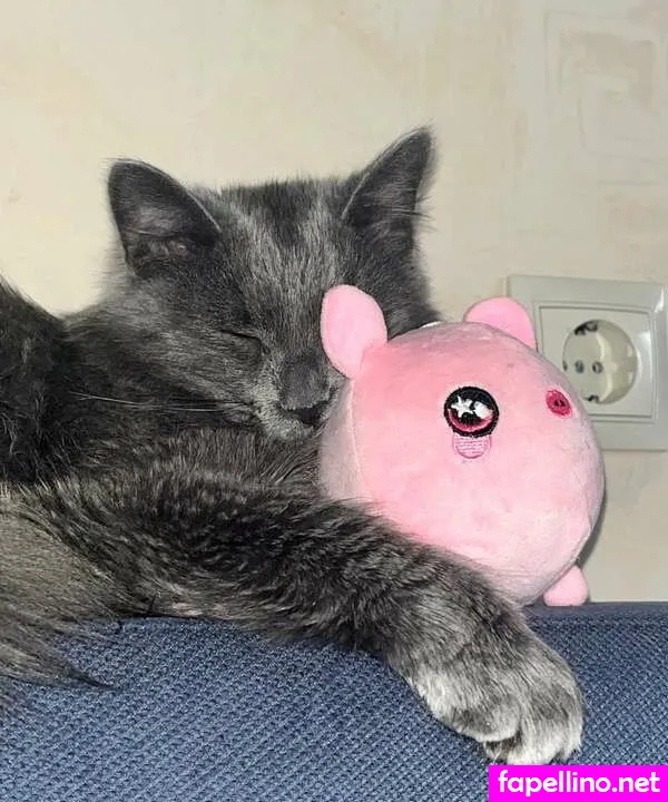 hairy_shizo, https:, theofficialdaria Nude Leaked OnlyFans Photo #Lr5fD2eDOh