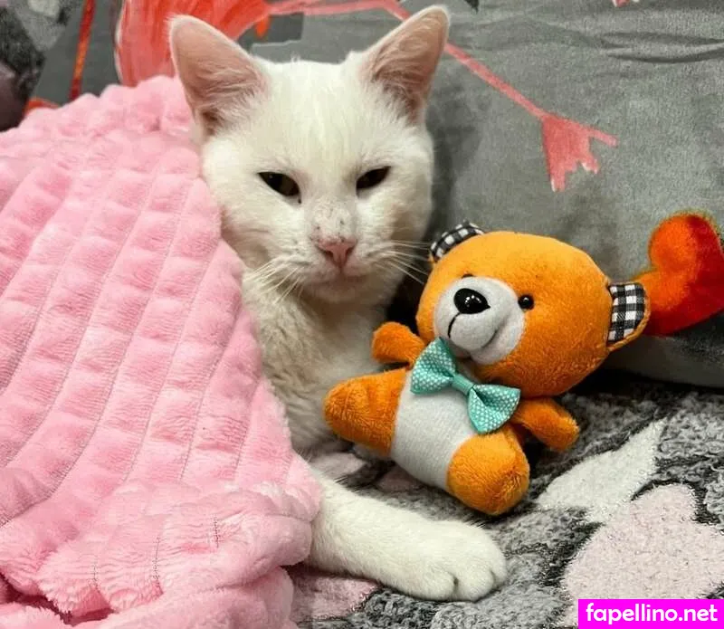 hairy_shizo, https:, theofficialdaria Nude Leaked OnlyFans Photo #voVmTNm9bf