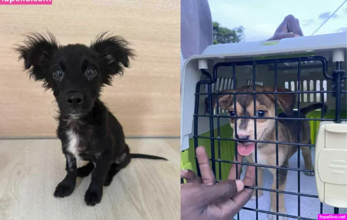 Darkitachi OnlyFans Thumbnail #JL9erKszWB