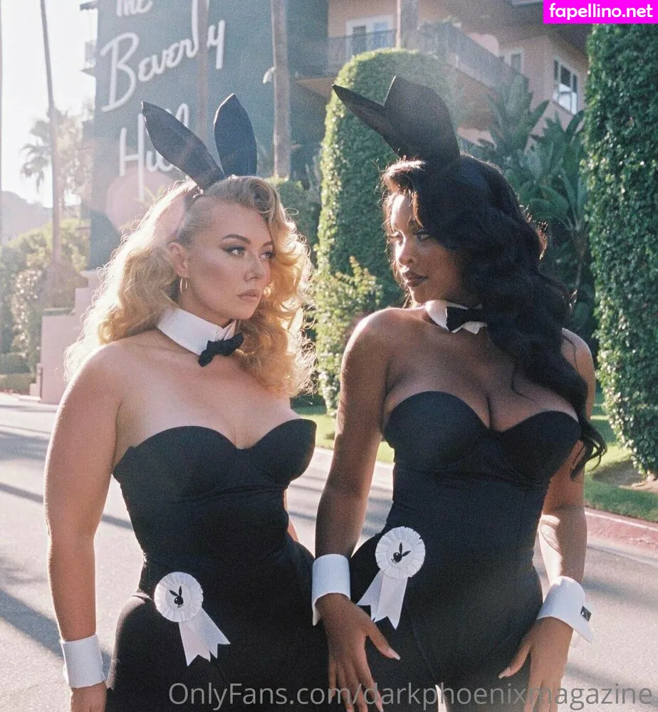 darkphoenixmagazine, darkphoenixvip Nude Leaked OnlyFans Photo #bPuRdWPjdZ