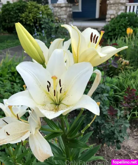 Darthlust Main Profile Photo