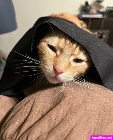 Datbadashe OnlyFans Thumbnail #Lcq8T9Xj3K