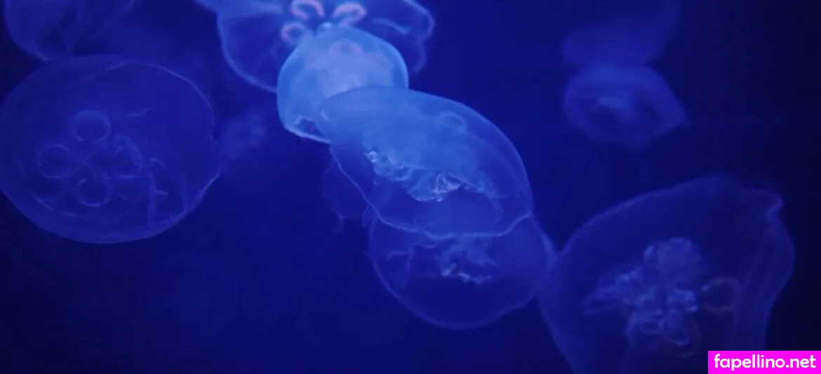 dearest.daisy, dearest_daisy_ Nude Leaked OnlyFans Photo #97lXaDUwca