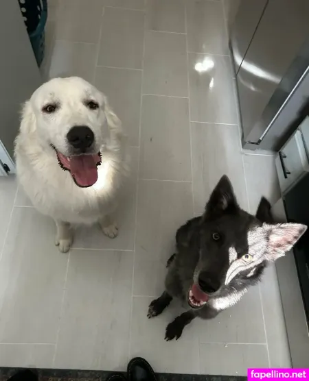 Dearest Daisy OnlyFans Thumbnail #TQNlcS1fdS