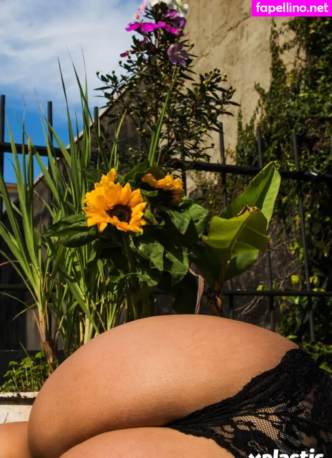 deboraportooficial, deboraportoreal Nude Leaked OnlyFans Photo #VWCqGoArZM