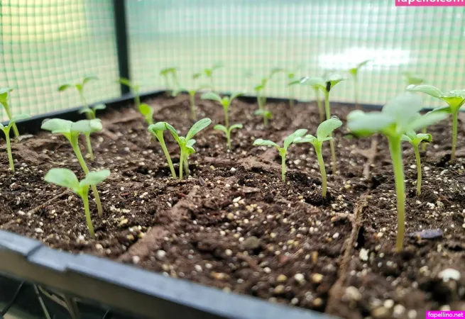 Deealice OnlyFans Thumbnail #ICfGaoz2UT