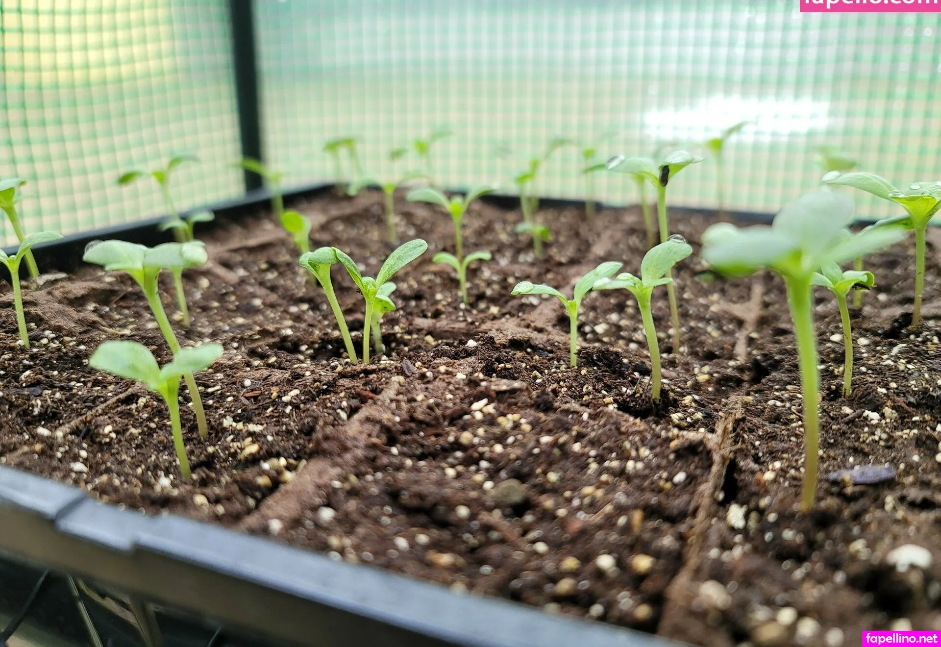 deealice, its.dee.alice Nude Leaked OnlyFans Photo #ICfGaoz2UT