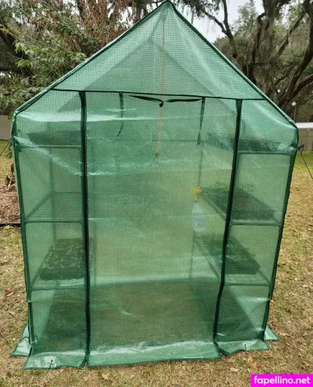 Deealice OnlyFans Thumbnail #RM7wAZTnMn