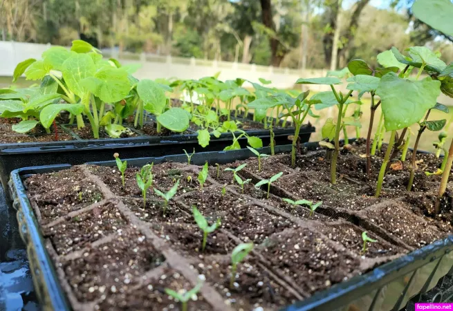 Deealice OnlyFans Thumbnail #TspikCsHXz