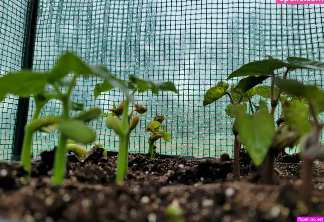 Deealice OnlyFans Thumbnail #h2KtRPU36T