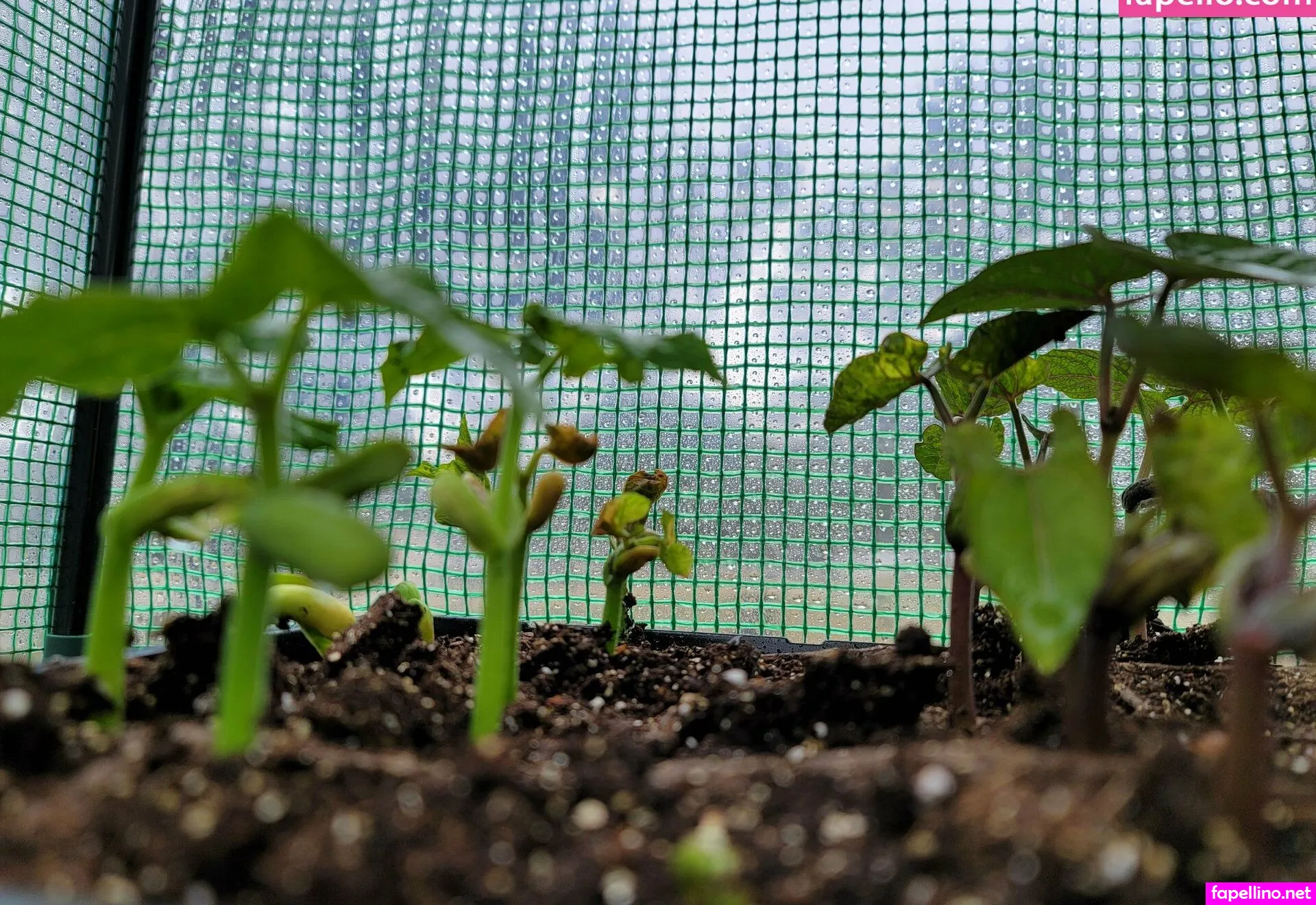 deealice, its.dee.alice Nude Leaked OnlyFans Photo #h2KtRPU36T