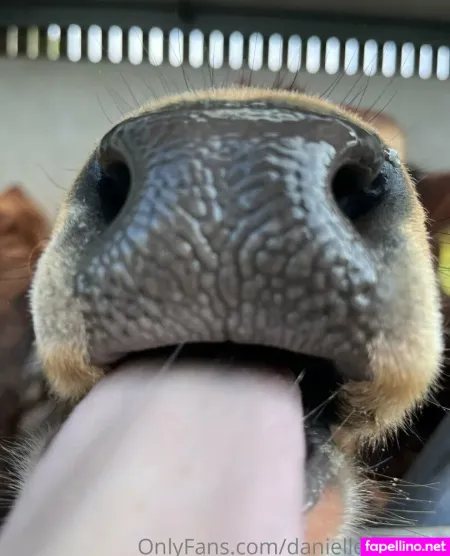 Deliciousdanielleee OnlyFans Thumbnail #4da7JIGO4N