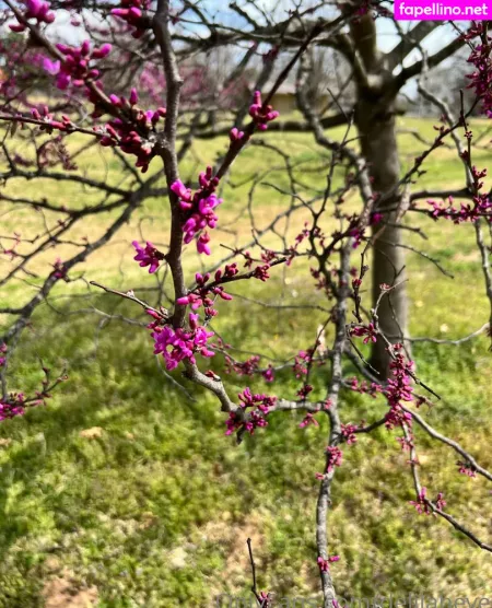 Delilaheve OnlyFans Thumbnail #2uLjt2rN5S