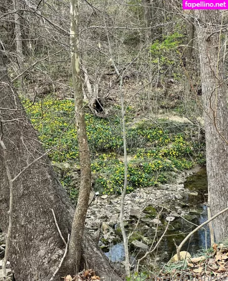 Delilaheve OnlyFans Thumbnail #4JA4mb5mis