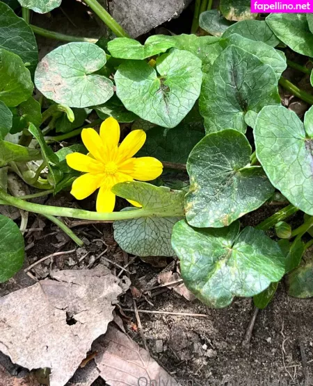 Delilaheve OnlyFans Thumbnail #YFlI8OKDrL