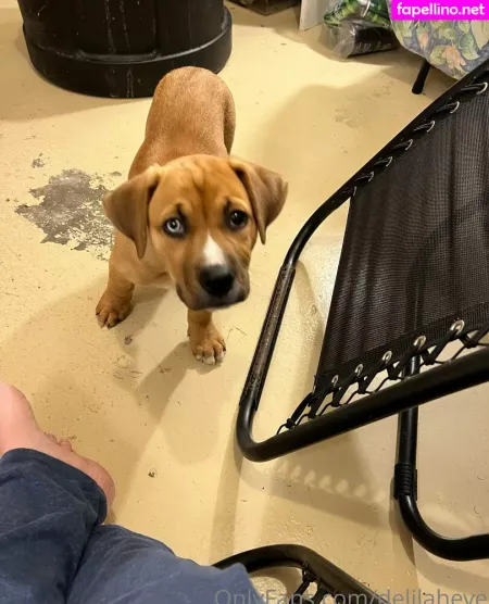 Delilaheve OnlyFans Thumbnail #ZqOk6QDzXT