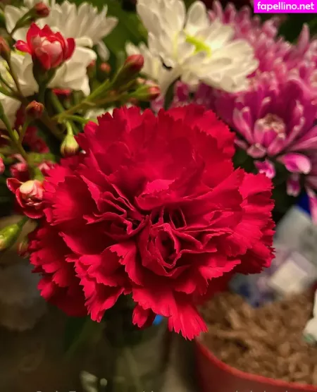 Demons And Delusions OnlyFans Thumbnail #HsRXNMxuMB