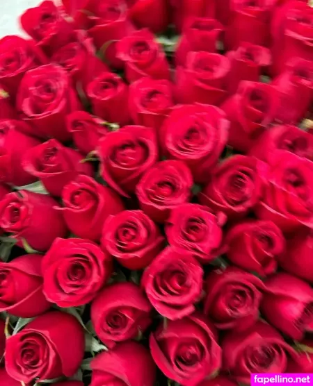 Destinydelfina OnlyFans Thumbnail #MUVTBO5lSL