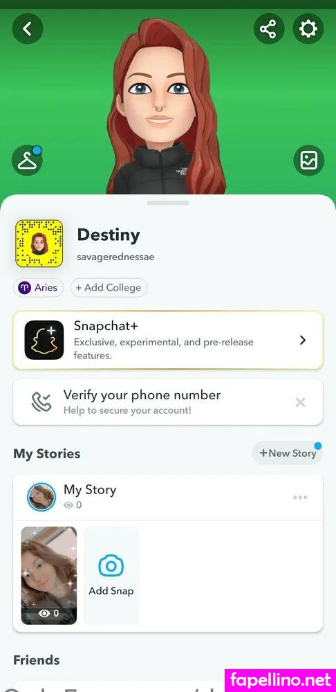 destinymadnes5, destinymain5 Nude Leaked OnlyFans Photo #ZLOswODLRE