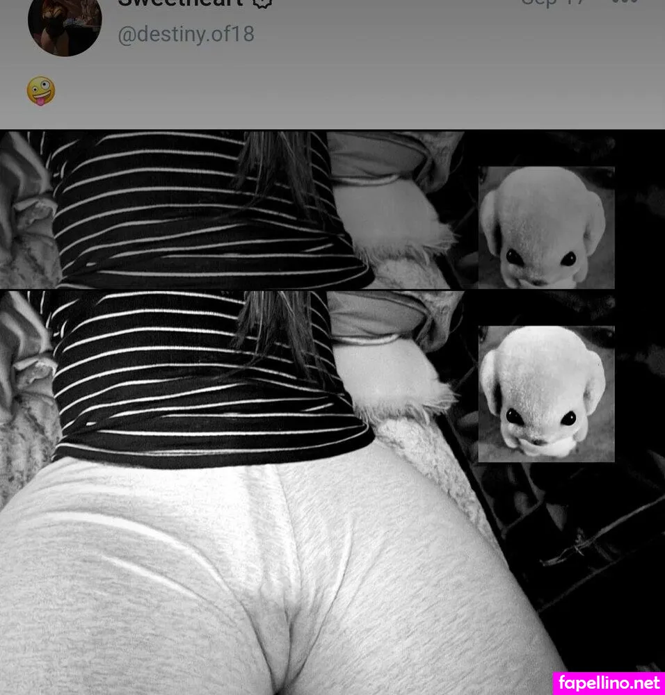 Destinyare, Destinypm, dessspriv._, exotica.19 Nude Leaked OnlyFans Photo #ieAS2BhxXG