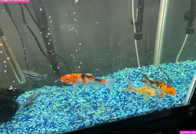 Dhimitr93 OnlyFans Thumbnail #HHVUKO2QjI