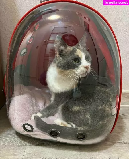 Diana Foxley OnlyFans Thumbnail #E65I9bXfWI