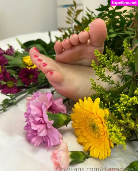 Dianacane1 OnlyFans Thumbnail #4hAxkkecI8